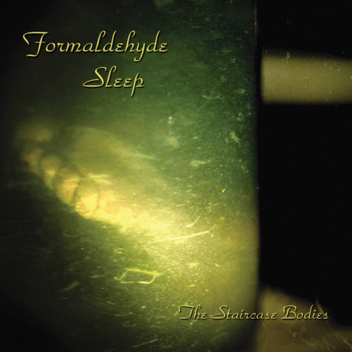 Formaldehyde Sleep : The Staircase Bodies